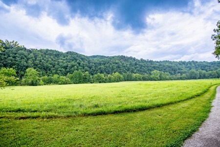 Accepted Offer in Jamestown, KY - image 4