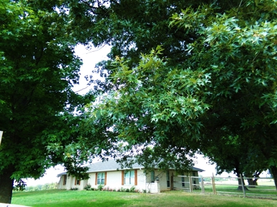 Beautiful Hilltop Country Home for Sale in Sumner, TX! - image 3