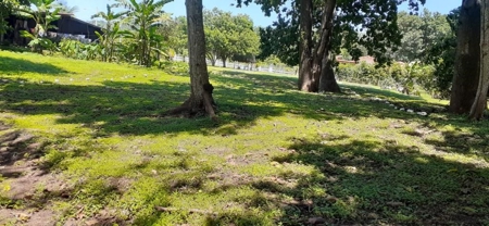 Lands starting at 700M2 en Rancho Los Sueños, El Espave - image 6