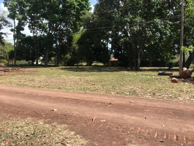Lands starting at 700M2 en Rancho Los Sueños, El Espave - image 3