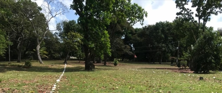 Lands starting at 700M2 en Rancho Los Sueños, El Espave - image 4