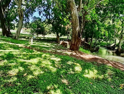 Lands starting at 700M2 en Rancho Los Sueños, El Espave - image 7