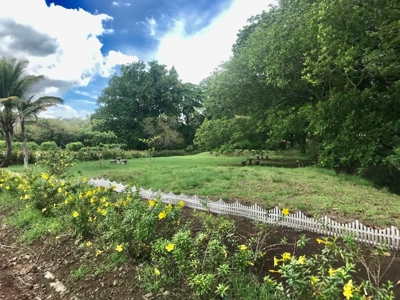 Lands starting at 700M2 en Rancho Los Sueños, El Espave - image 1