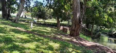 Lands starting at 700M2 en Rancho Los Sueños, El Espave - image 8