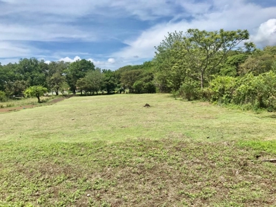Lands starting at 700M2 en Rancho Los Sueños, El Espave - image 2