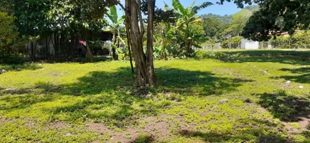 Lands starting at 700M2 en Rancho Los Sueños, El Espave - image 5