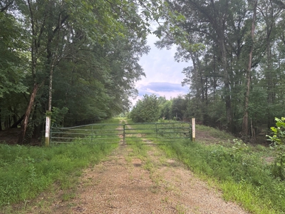 Land for sale with Saline River Frontage near Warren, AR - image 2