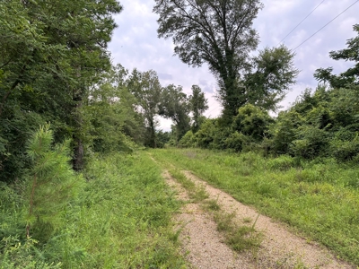 Land for sale with Saline River Frontage near Warren, AR - image 1
