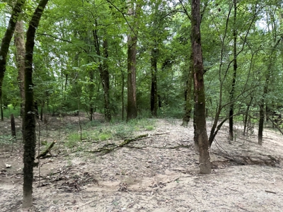 Land for sale with Saline River Frontage near Warren, AR - image 3