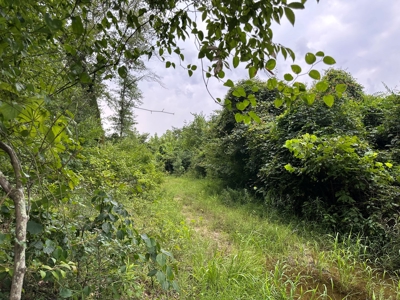 Land for sale with Saline River Frontage near Warren, AR - image 4