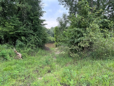 Land for sale with Saline River Frontage near Warren, AR - image 5