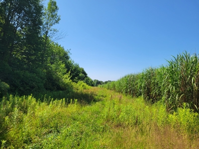 Pymatuning Lake Land for Sale - image 2