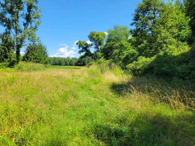 Pymatuning Lake Land for Sale - image 5