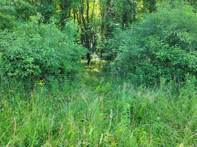 Pymatuning Lake Land for Sale - image 6
