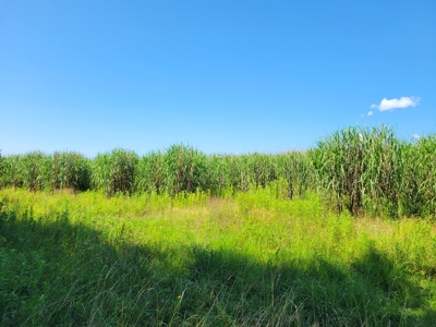 Pymatuning Lake Land for Sale - image 3