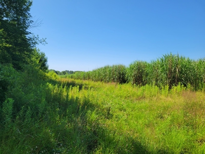 Pymatuning Lake Land for Sale - image 4