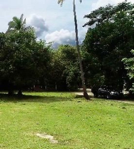 3300 M2 Prime land in front of Interamericana, El Espave - image 4