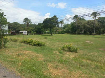 3300 M2 Prime land in front of Interamericana, El Espave - image 8