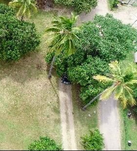 3300 M2 Prime land in front of Interamericana, El Espave - image 3