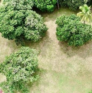 3300 M2 Prime land in front of Interamericana, El Espave - image 7