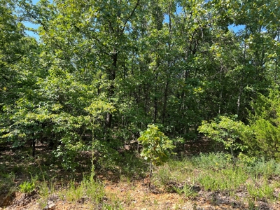 Vacant Land for Sale in Fulton County, Arkansas - image 8