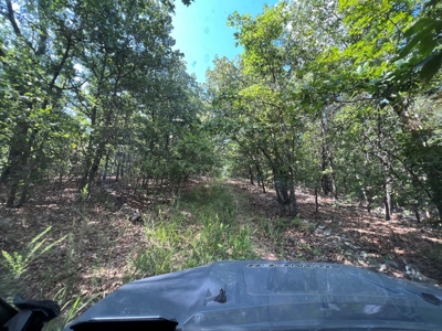Vacant Land for Sale in Fulton County, Arkansas - image 12