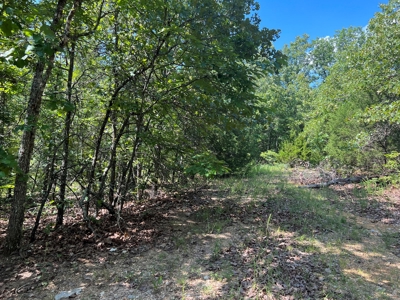 Vacant Land for Sale in Fulton County, Arkansas - image 7