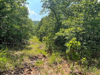 Vacant Land for Sale in Fulton County, Arkansas - image 2