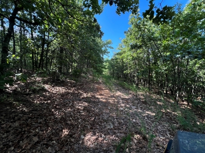 Vacant Land for Sale in Fulton County, Arkansas - image 11