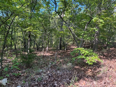 Vacant Land for Sale in Fulton County, Arkansas - image 6