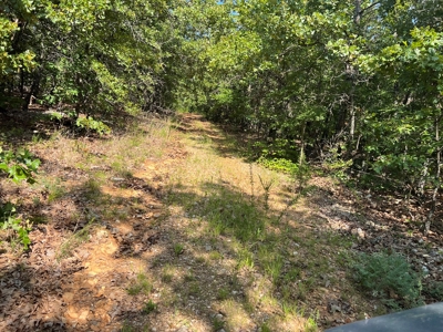 Vacant Land for Sale in Fulton County, Arkansas - image 9