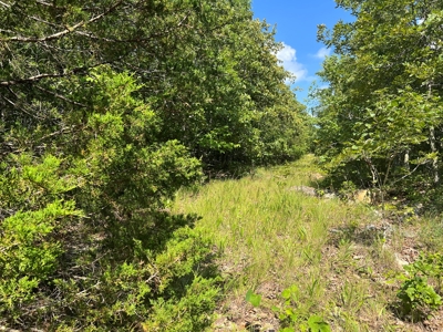 Vacant Land for Sale in Fulton County, Arkansas - image 3