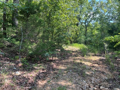 Vacant Land for Sale in Fulton County, Arkansas - image 4