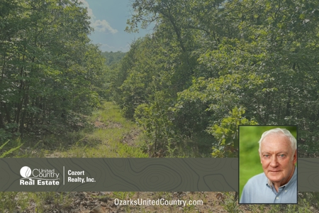 Vacant Land for Sale in Fulton County, Arkansas - image 1