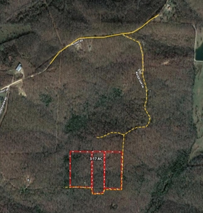 Vacant Land for Sale in Fulton County, Arkansas - image 14