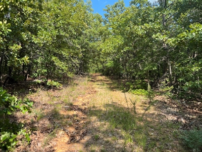 Vacant Land for Sale in Fulton County, Arkansas - image 10