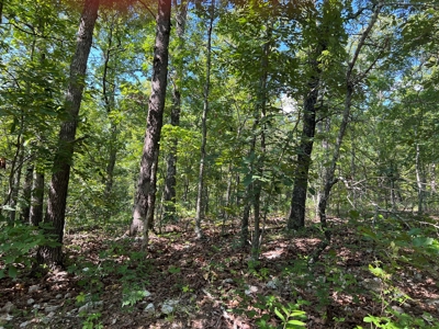 Vacant Land for Sale in Fulton County, Arkansas - image 5