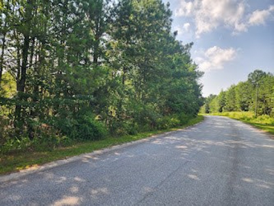 Commercial Land and Acreage with Interstate Visibility in SC - image 2