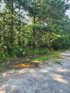 Commercial Land and Acreage with Interstate Visibility in SC - image 5