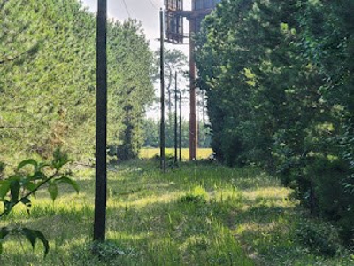 Commercial Land and Acreage with Interstate Visibility in SC - image 6