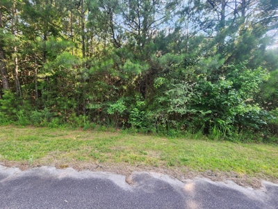 Commercial Land and Acreage with Interstate Visibility in SC - image 4
