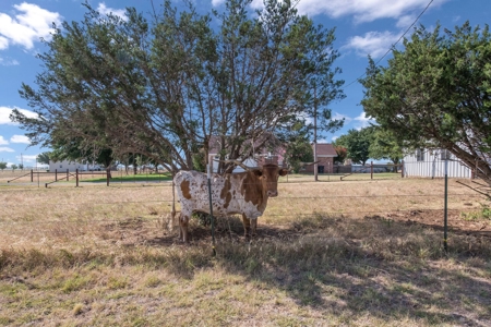 Home on Acreage in Crawford, Texas for Sale Crawford ISD - image 35