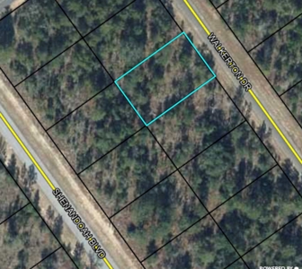 Florida Wooded Lot Near Gap Lake - image 2