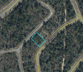 Vacant Lot in Lake Community of Florida - image 3