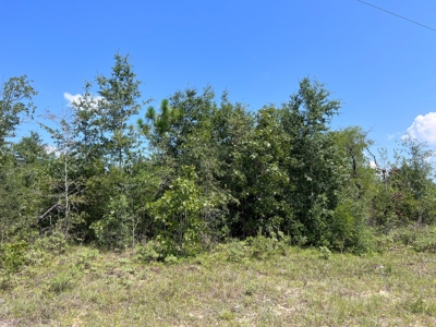 Vacant Lot in Lake Community of Florida - image 2
