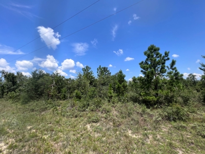 Vacant Lot in Lake Community of Florida - image 1