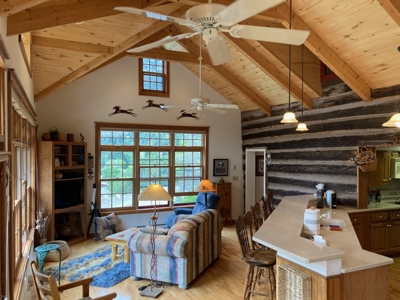 Mountain Home For Sale, Ouray, Colorado - image 8