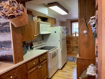 Mountain Home For Sale, Ouray, Colorado - image 13