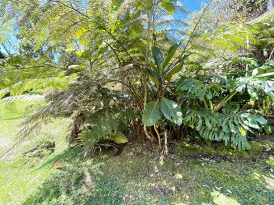 House and lot in Envigado - image 2