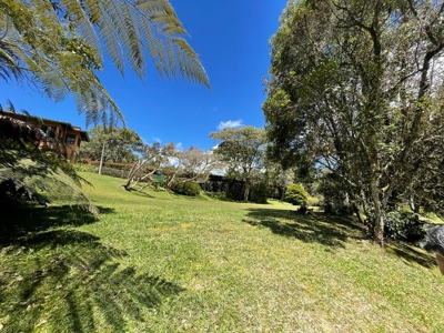 House and lot in Envigado - image 3
